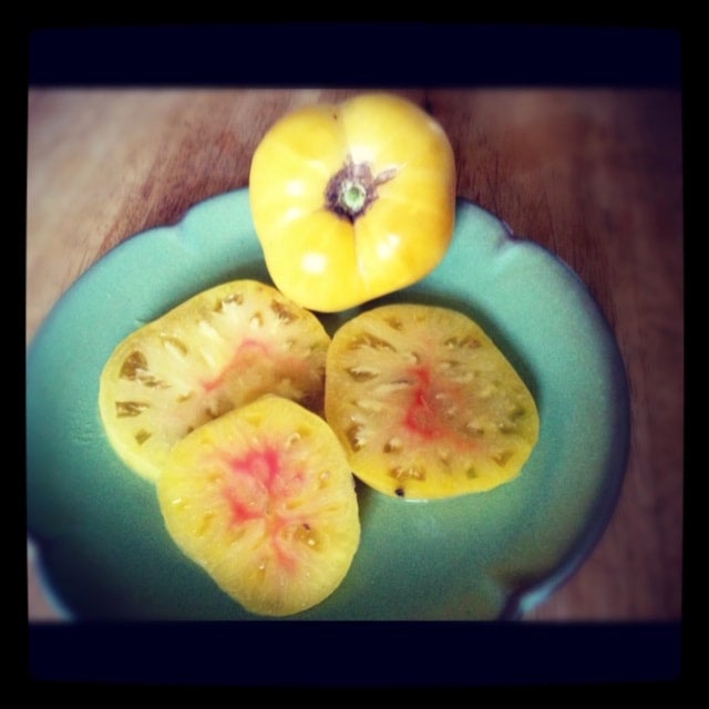 とまとページ 04 TOP TEN - Yellow 1884 Pinkheart | The Tomato Man's Daughter